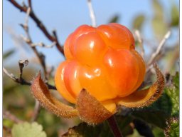 0071
